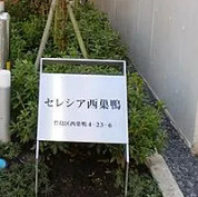 セレシア西巣鴨のその他