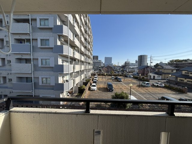 プラセール の展望