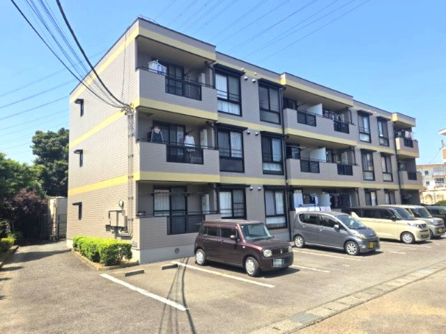 ライジングサン関野