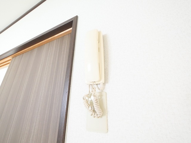 メゾン青和 IIのセキュリティ|インターホンです