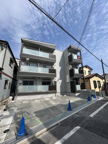 F asecia Somnusの外観