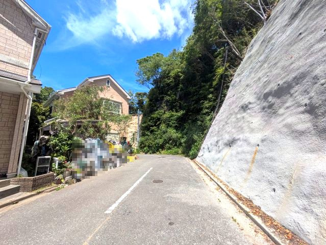 自然豊かな住環境　４LDKの前面道路含む現地写真|前面道路