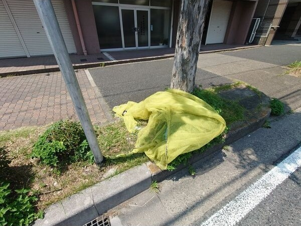 メゾン白鳥のその他