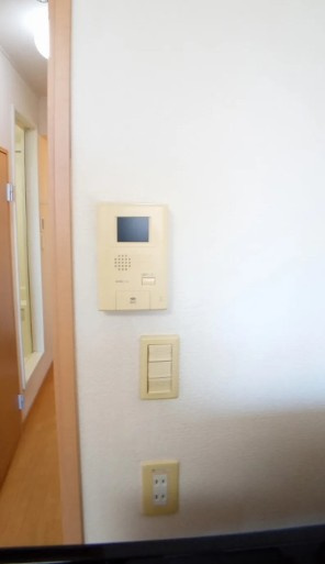 レオネクストレーヴのセキュリティ