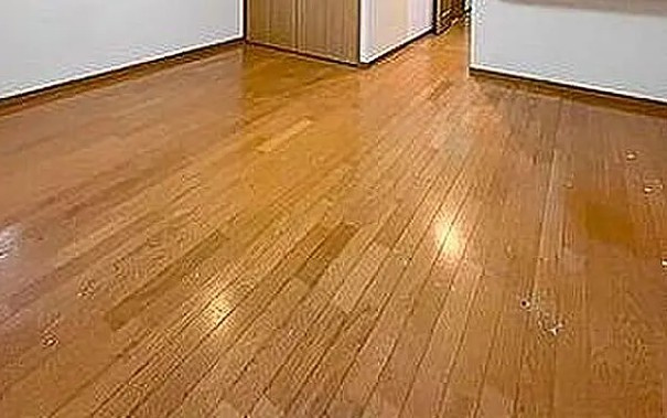 菱和パレス小石川後楽園の内装