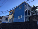 ハイムタチバナの画像