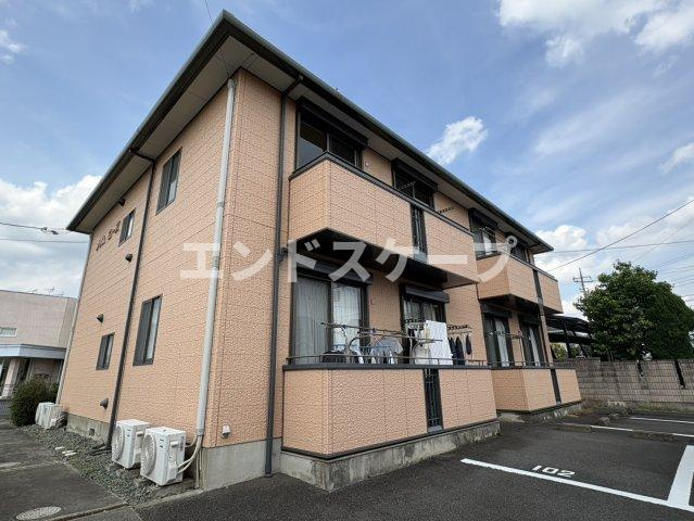 プリムローズ