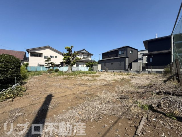 野田市花井