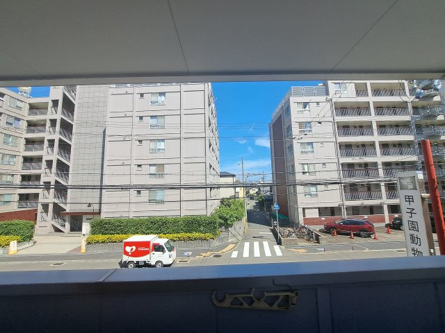 シュシュ甲子園の展望