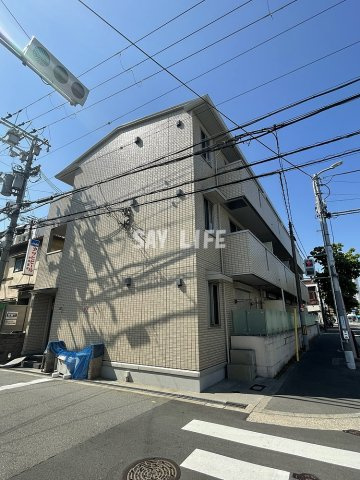 ハナミズキ