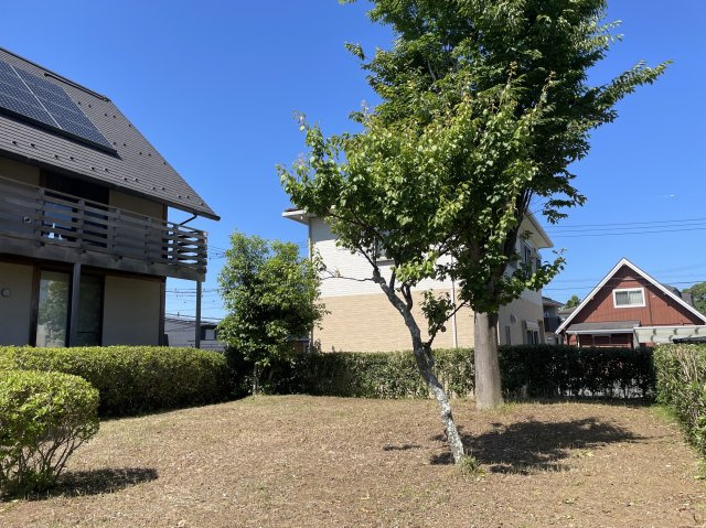【庭】 | 山武市美杉野1丁目　中古戸建