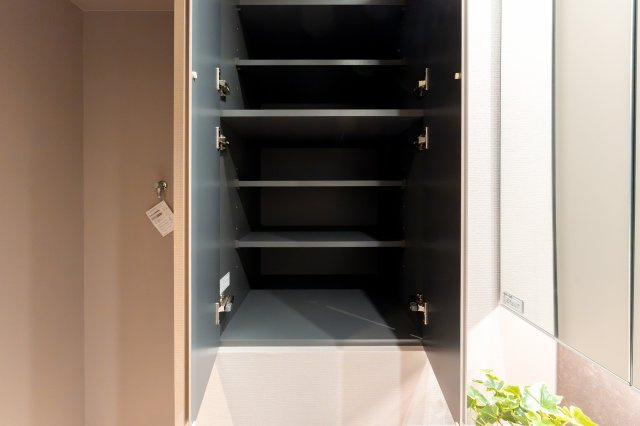 The Kitahama（ザ・キタハマ)の収納