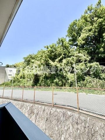 ザウバーヴィントIIIの展望