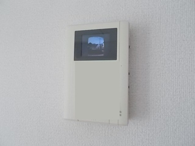 【セキュリティ】 | ラプスフェルト