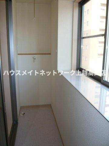 ルミエール　デュースのバルコニー|サンルーム（同室タイプ２０２号室の画像を掲載）