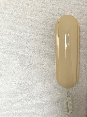 レオパレスエルフⅡのその他