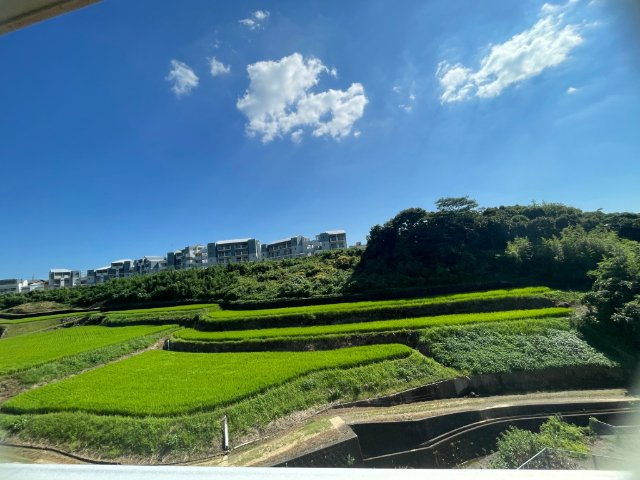 武ハイツのその他