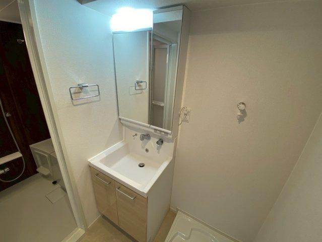 グランヴィル芦屋西の洗面所