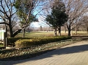 【周辺】 | サニーレジデンスⅠ | 青葉の森公園まで680m