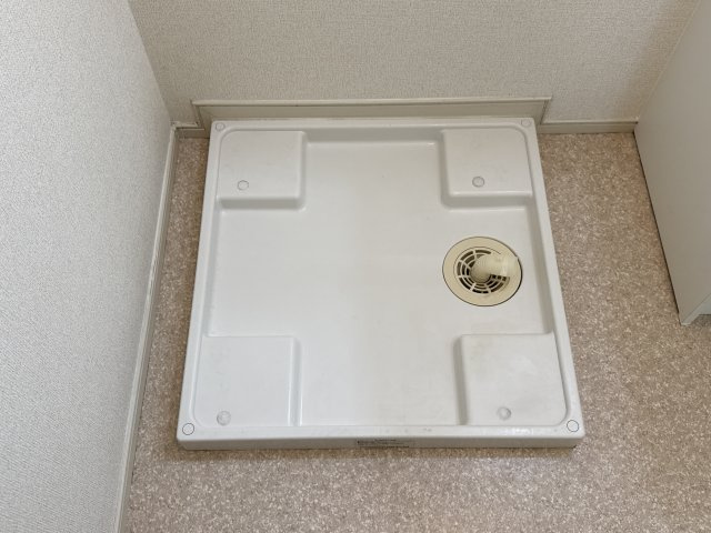 パイン　グローブのその他