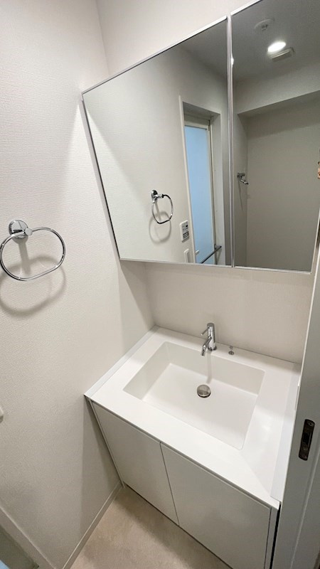 プラウドフラット三軒茶屋Ⅱの洗面所