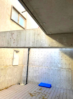 ボヌール御所西の外観