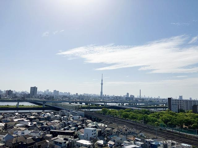 ナイスシティアリーナ新小岩の展望