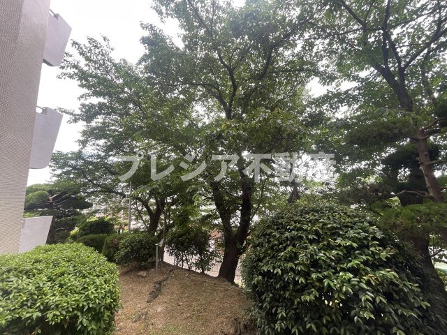 岡本エクセルの展望