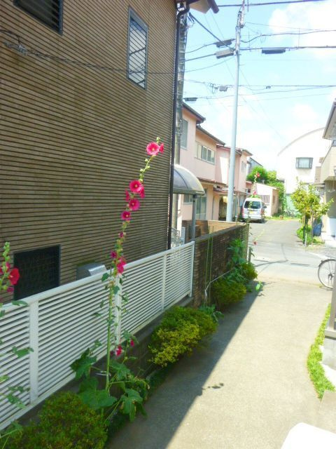 フラワーパレスのその他