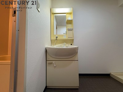 アメニティ収納棚ありの独立洗面台です