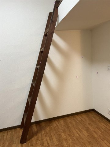 カンステレイションIIのその他