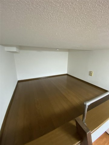 カンステレイションIIのその他