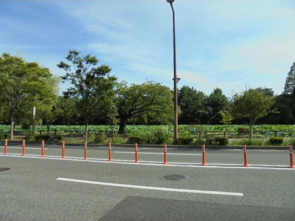 C.P.B.Sの周辺