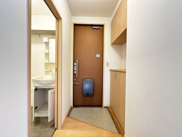 ダイヤメゾン D棟の玄関