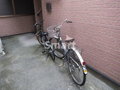  | フリージア
