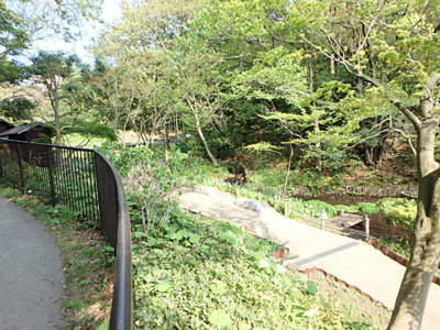 天王森泉公園まで450ｍ