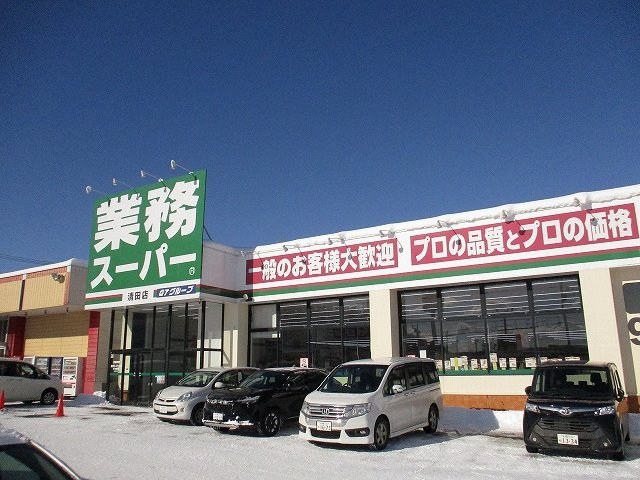 レオパレスオールドリバー清田の周辺