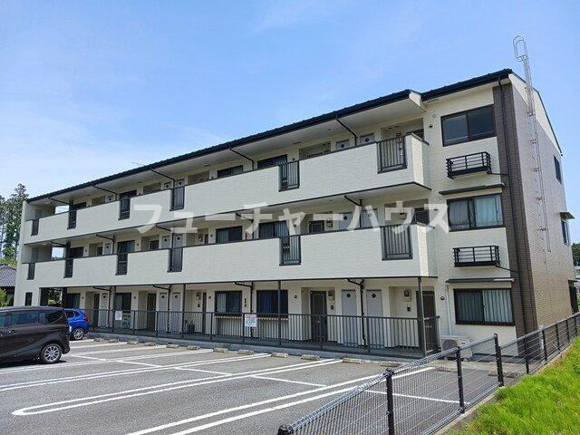 白蔵　Ⅳ