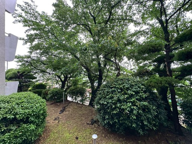 岡本エクセルの庭