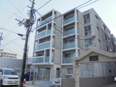 Colore south eightの画像