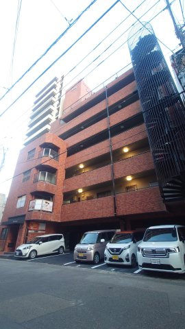 アイリス照国