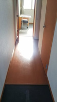 落ち着いた玄関です