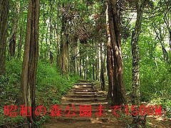 昭和の森公園まで1500m
