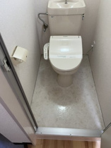 落ち着いた色調のトイレです