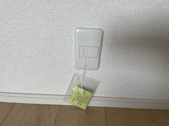 アカンサスⅣのその他