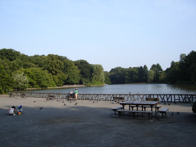 グリーンステージの周辺|善福寺公園まで160ｍ