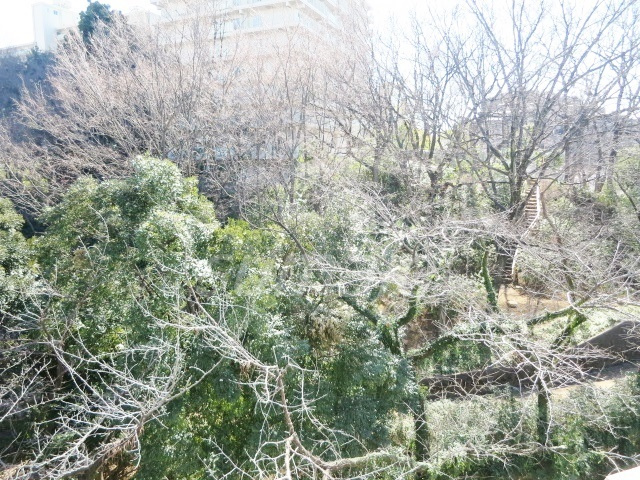 第二若木コーポの展望|春には桜が満開です♪