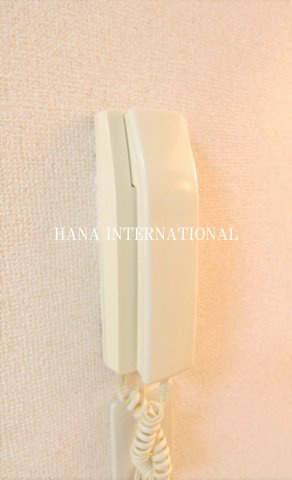レオパレス三橋のセキュリティ