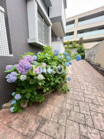 センチュリーヒルズ浄水のその他共用部分