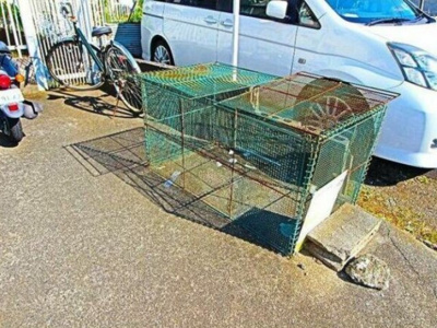 【設備】 | センチュリーピラ